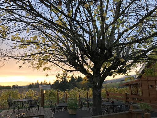 Vineyard «Archer Vineyard, Winery & Tasting Room», reviews and photos, 32230 NE Old Parrett Mountain Rd, Newberg, OR 97132, USA
