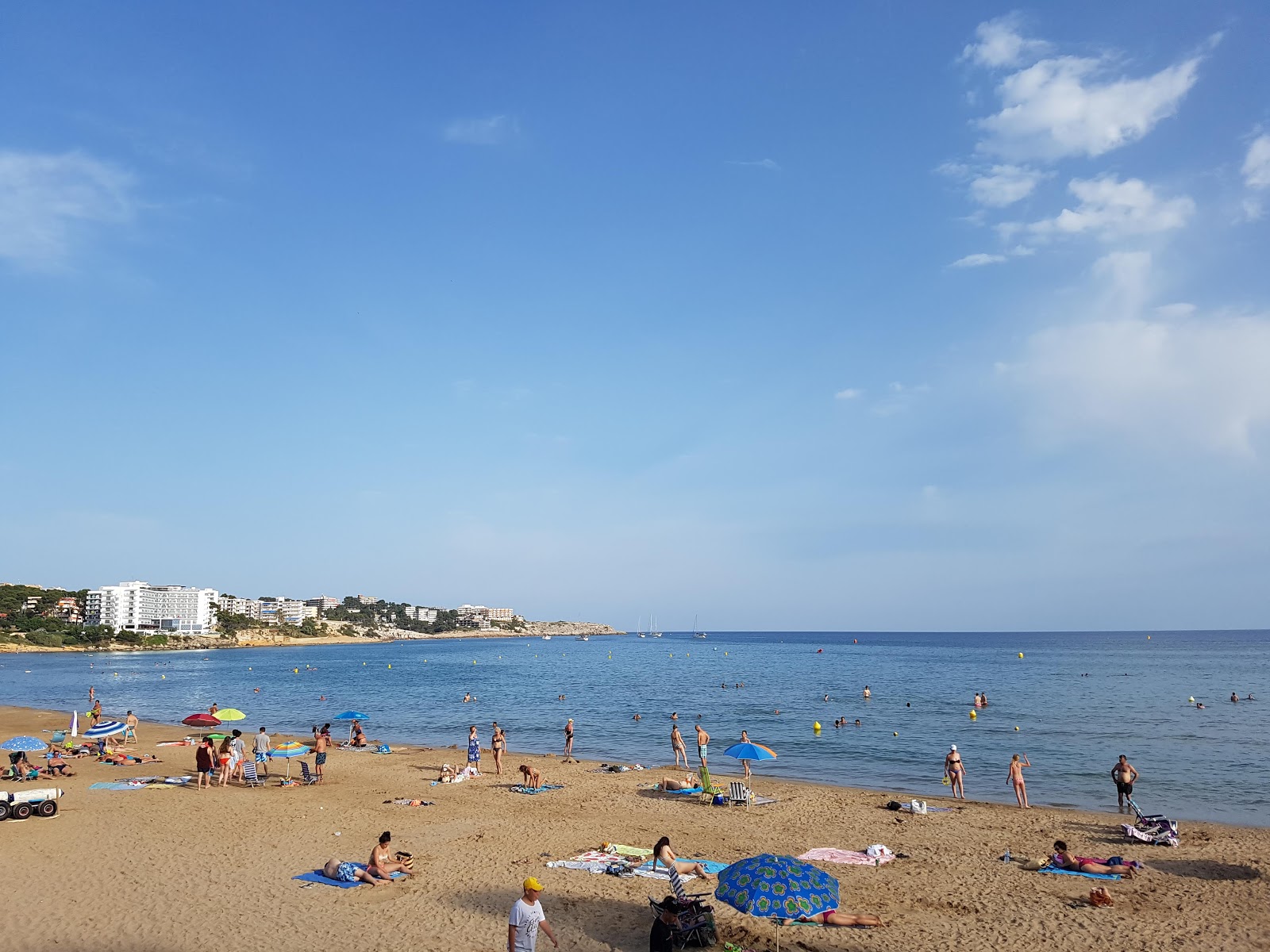 Photo de Platja Llarga avec un niveau de propreté de très propre