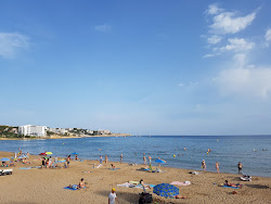 Foto di Platja Llarga area servizi