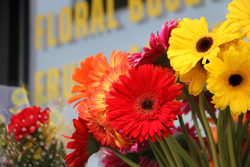 Florist «Gordon Florist», reviews and photos, 6707 York Rd York Road, Baltimore, MD 21212, USA