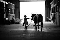 Chan Williams Photography - Car repair in , Knoxville - Rated 5.0/5