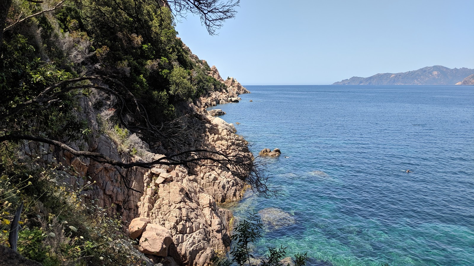 Foto von Ficaghjola beach mit viele kleine buchten