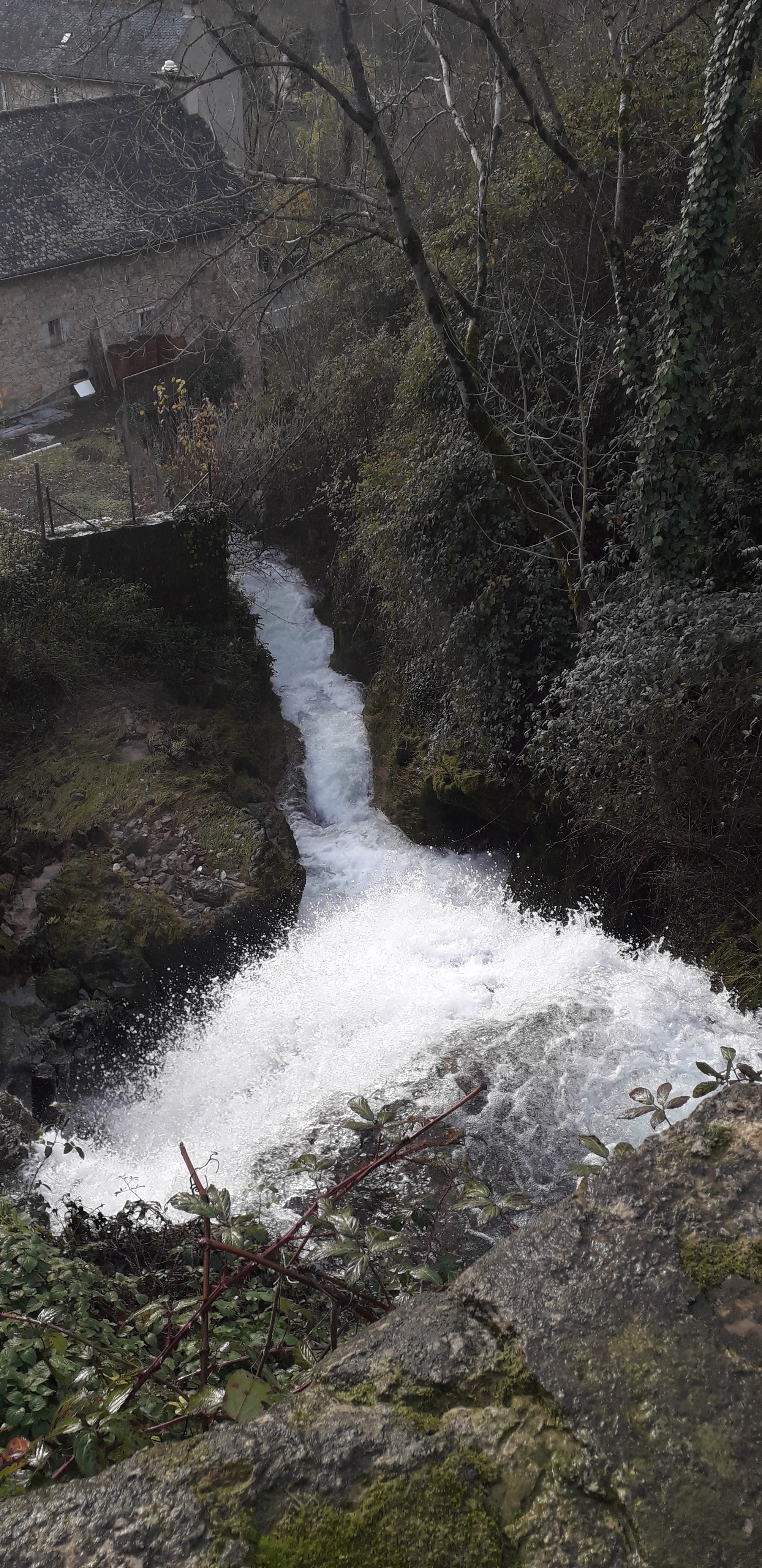 Photo n° 4 de l'avis de mathilde.a fait le 01/12/2019 à 17:08