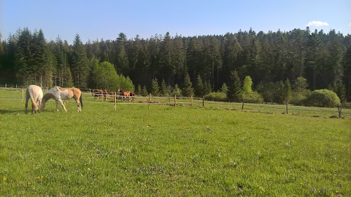 Centre équestre Écurie du Neu Prés Granges-Aumontzey