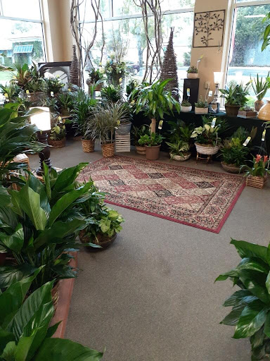 Florist «Heritage Flowers, Inc.», reviews and photos, 522 SE 1st Ave, Ocala, FL 34471, USA