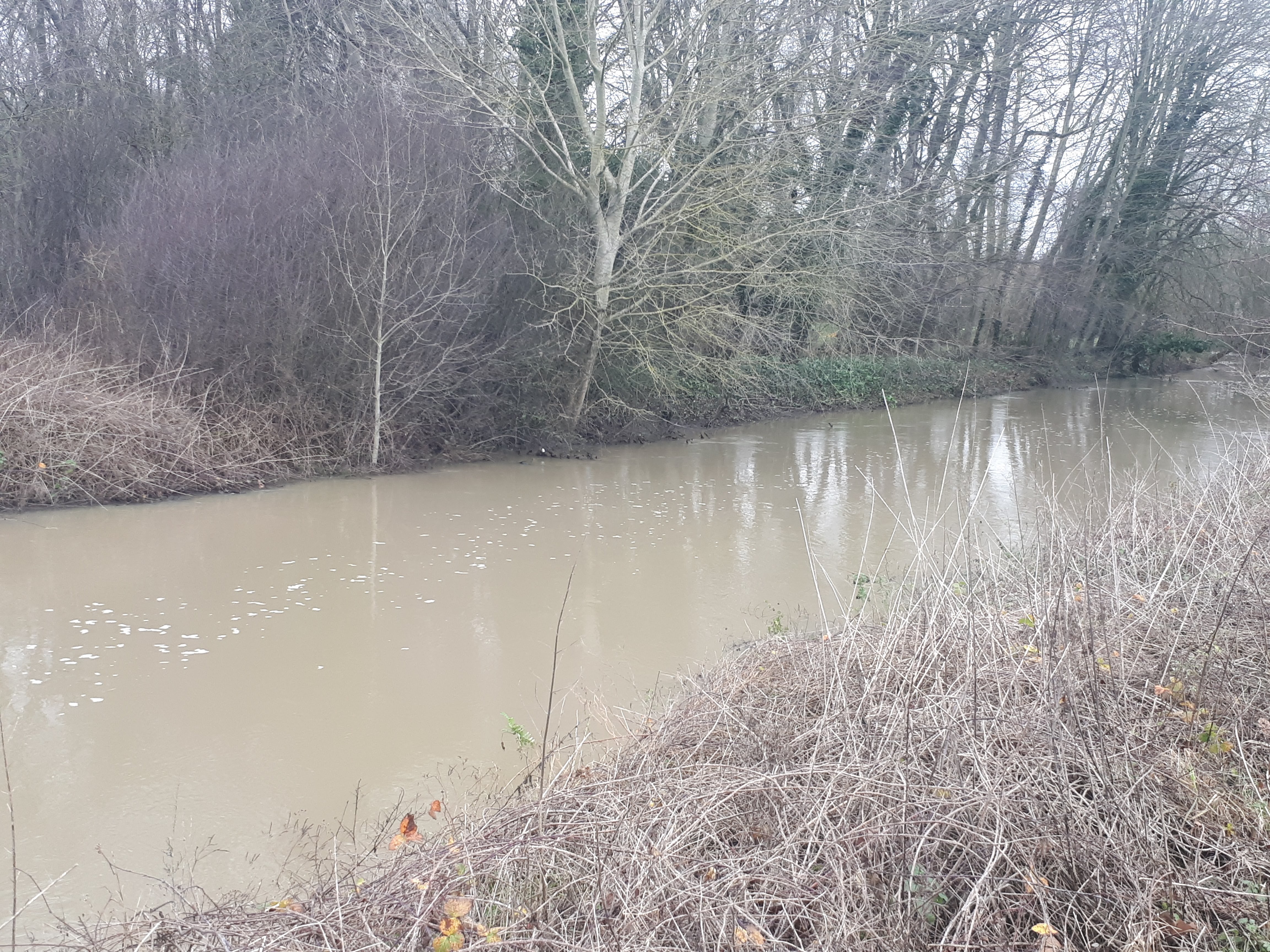 Photo n° 5 de l'avis de Magali.e fait le 07/01/2018 à 16:08
