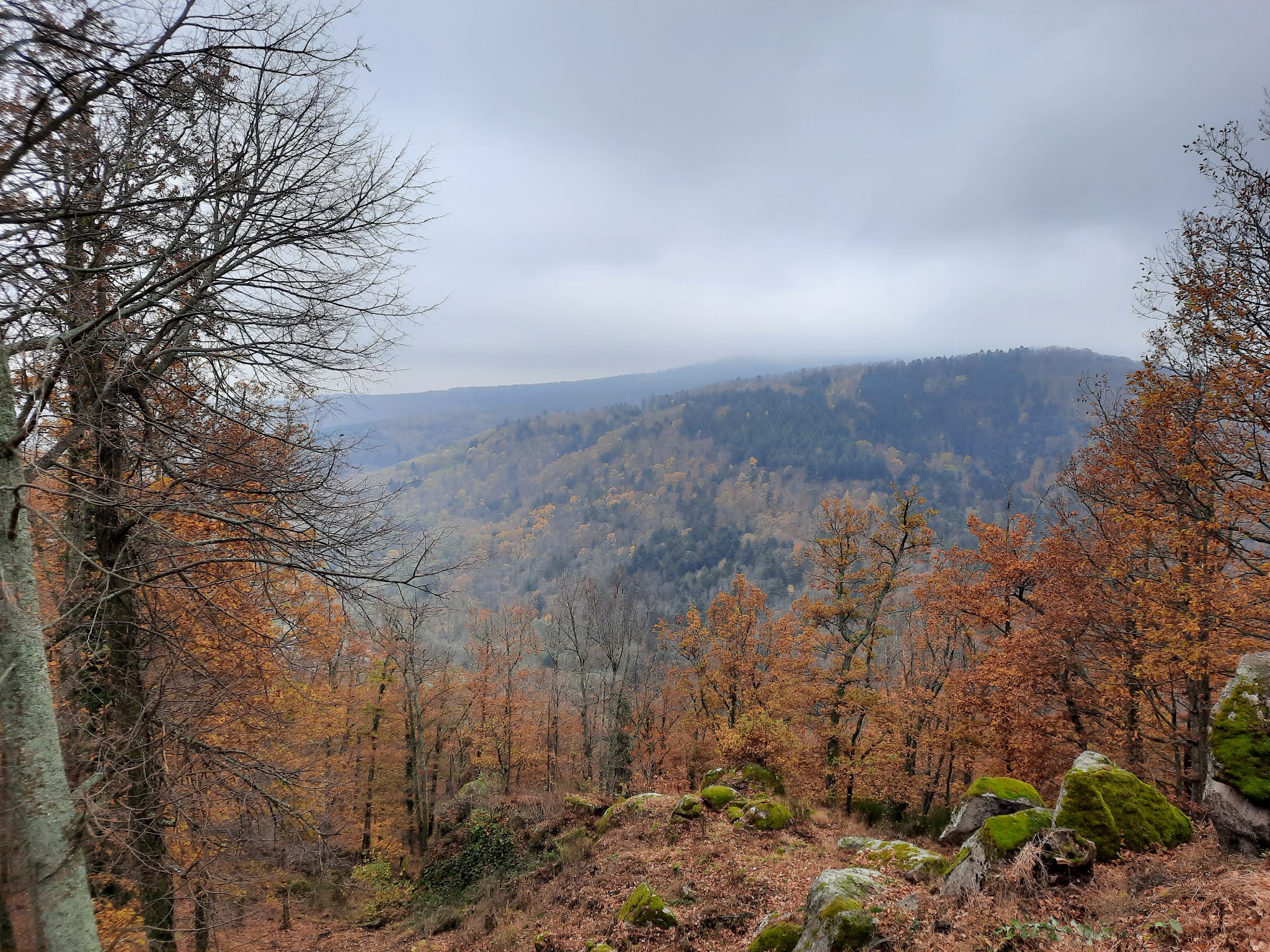 Photo n° 4 de l'avis de Cédric.O fait le 15/11/2021 à 19:23