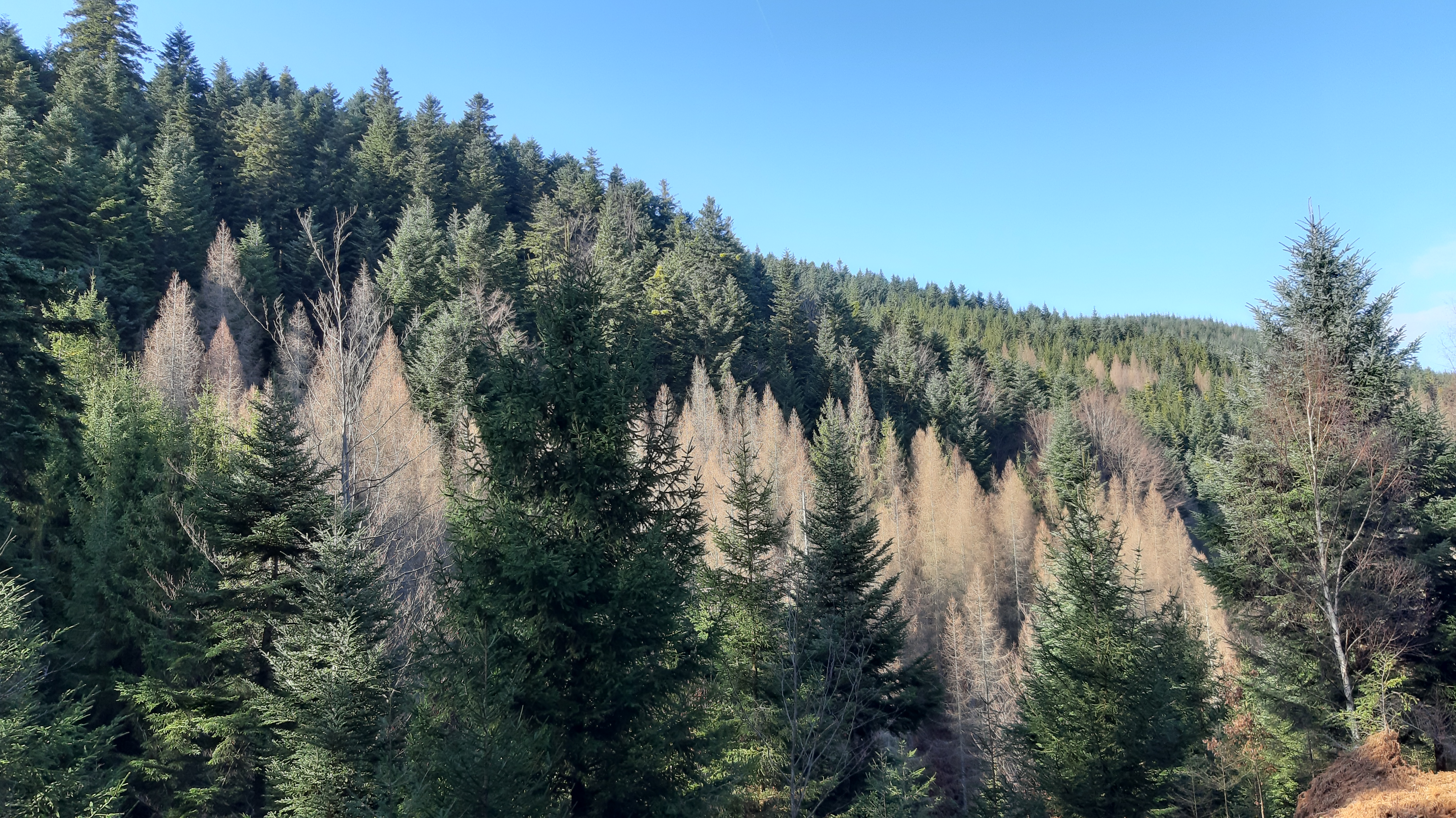 Photo n° 19 de l'avis de Magalie.a fait le 10/02/2020 à 19:38