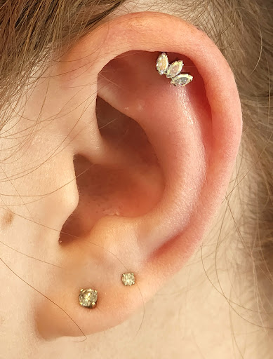 Explore dragonfly tattoo ideas for females, creative tattoo ideas in Bella Vista, available at Erins Aesthetics