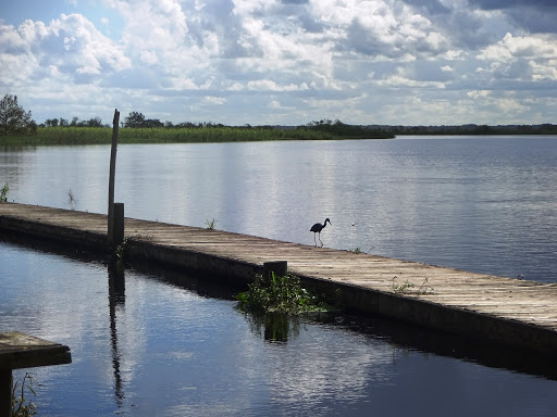 Tourist Attraction «Twister Airboat Rides», reviews and photos, 8199 W King St, Cocoa, FL 32926, USA