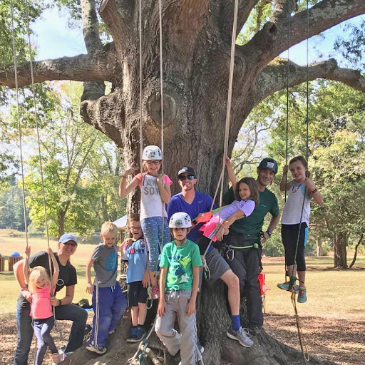 Piedmont Tree Climbing