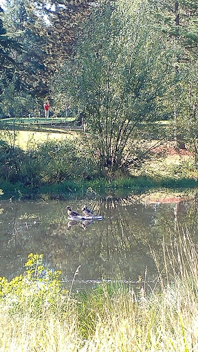 Private Golf Course «Michelbook Country Club», reviews and photos, 1301 NW Michelbook Ln, McMinnville, OR 97128, USA