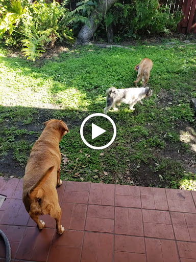 Discount Store «Dollar General», reviews and photos, 27036 S Dixie Hwy, Naranja, FL 33032, USA