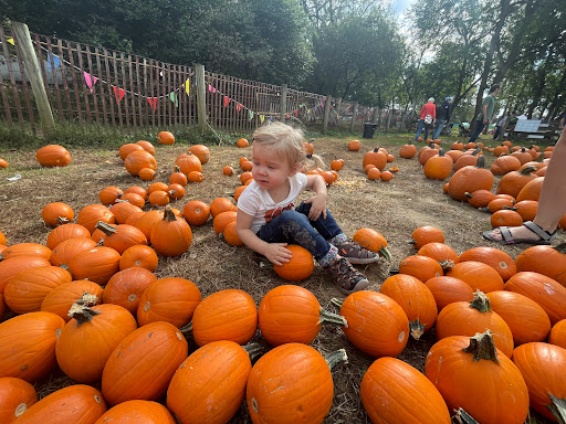 Museum «Queens County Farm Museum», reviews and photos, 73-50 Little Neck Pkwy, Queens, NY 11004, USA
