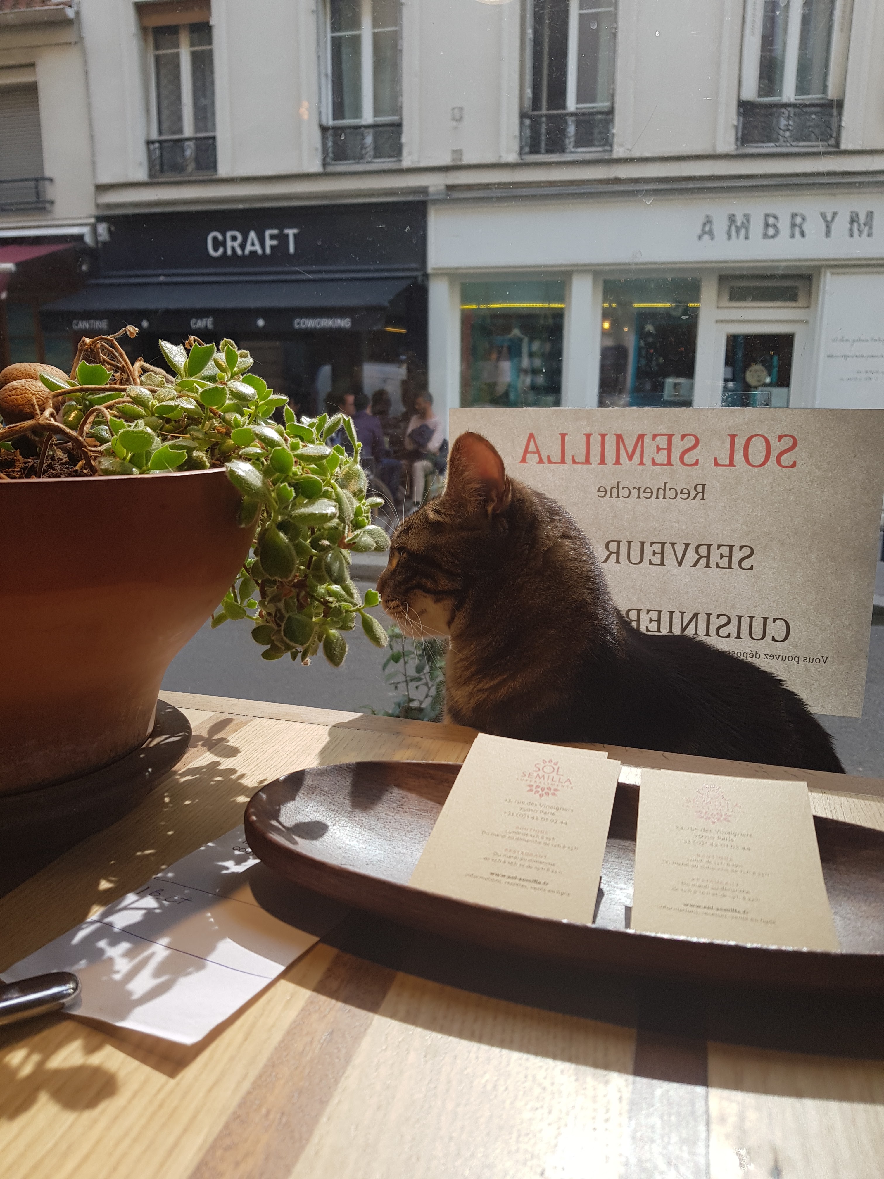 Photo n° 1 de l'avis de Gael. fait le 24/09/2018 à 20:12