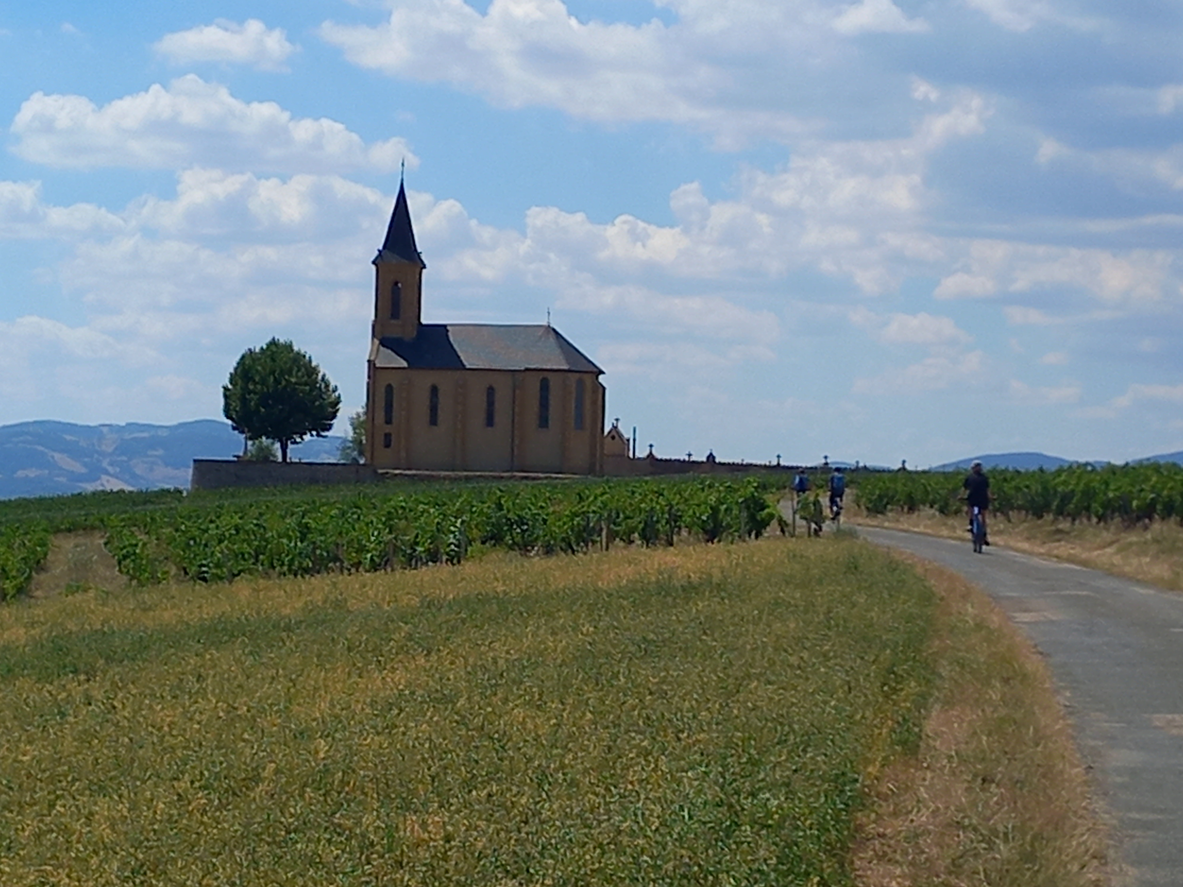 Photo n° 2 de l'avis de Dominique.h fait le 31/07/2022 à 18:24