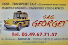 Service de taxi SAS Taxis Georget 79290 Bagneux
