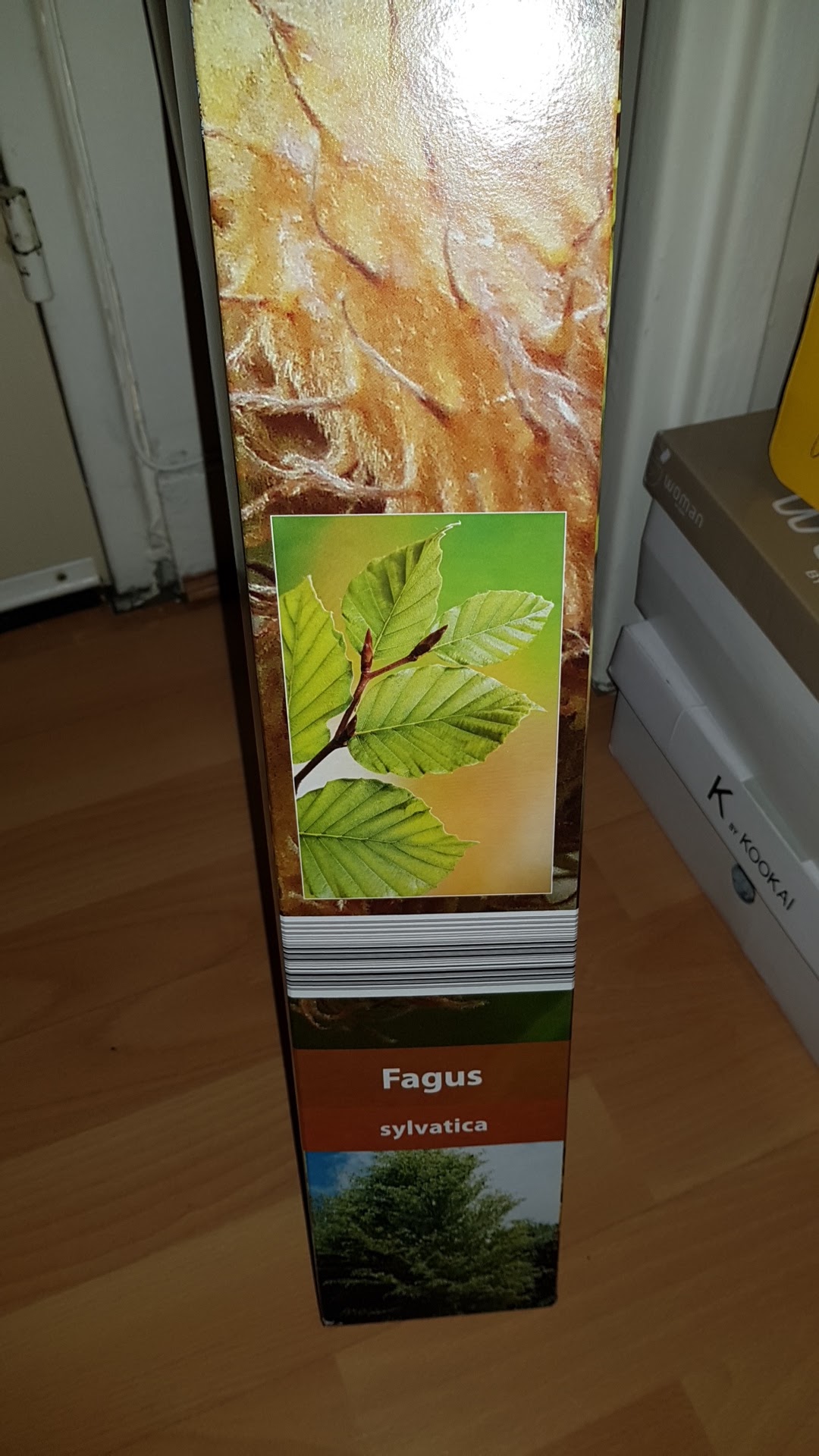 Photo n° 2 de l'avis de Evelyne.O fait le 22/02/2019 à 19:14