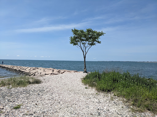 State Park «Silver Sands State Park», reviews and photos, 1 Silver Sands Park Way, Milford, CT 06460, USA