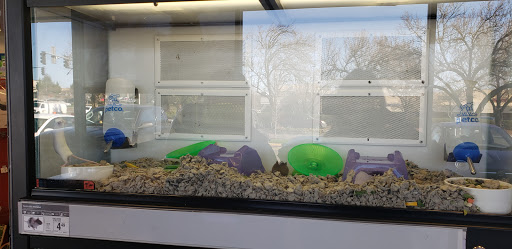 Pet Supply Store «Petco Animal Supplies», reviews and photos, 9078 SE Sunnyside Rd, Clackamas, OR 97015, USA