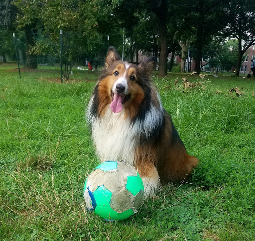 Park «Claremont Park», reviews and photos, Clay Ave & E. 170 St, Bronx, NY 10457, USA