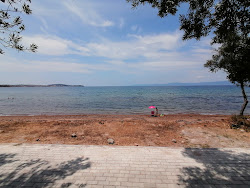 Photo de Altinyol Bay avec un niveau de propreté de assez propre