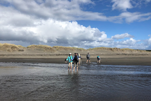 Vaya Adventures image
