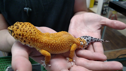 Pet Store «Animal Atlanta», reviews and photos, 6449 Bells Ferry Rd, Woodstock, GA 30189, USA