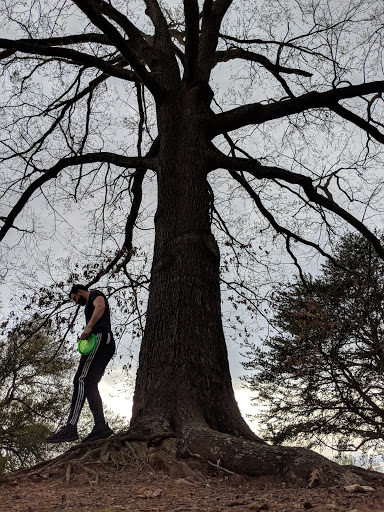 Park «Holmes Park», reviews and photos, Twin Lake Rd, Greenville, SC 29609, USA