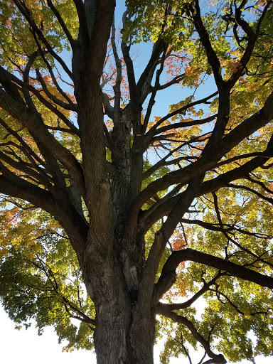 Winery «Apple Barn Orchard & Winery», reviews and photos, W6384 Sugar Creek Rd, Elkhorn, WI 53121, USA