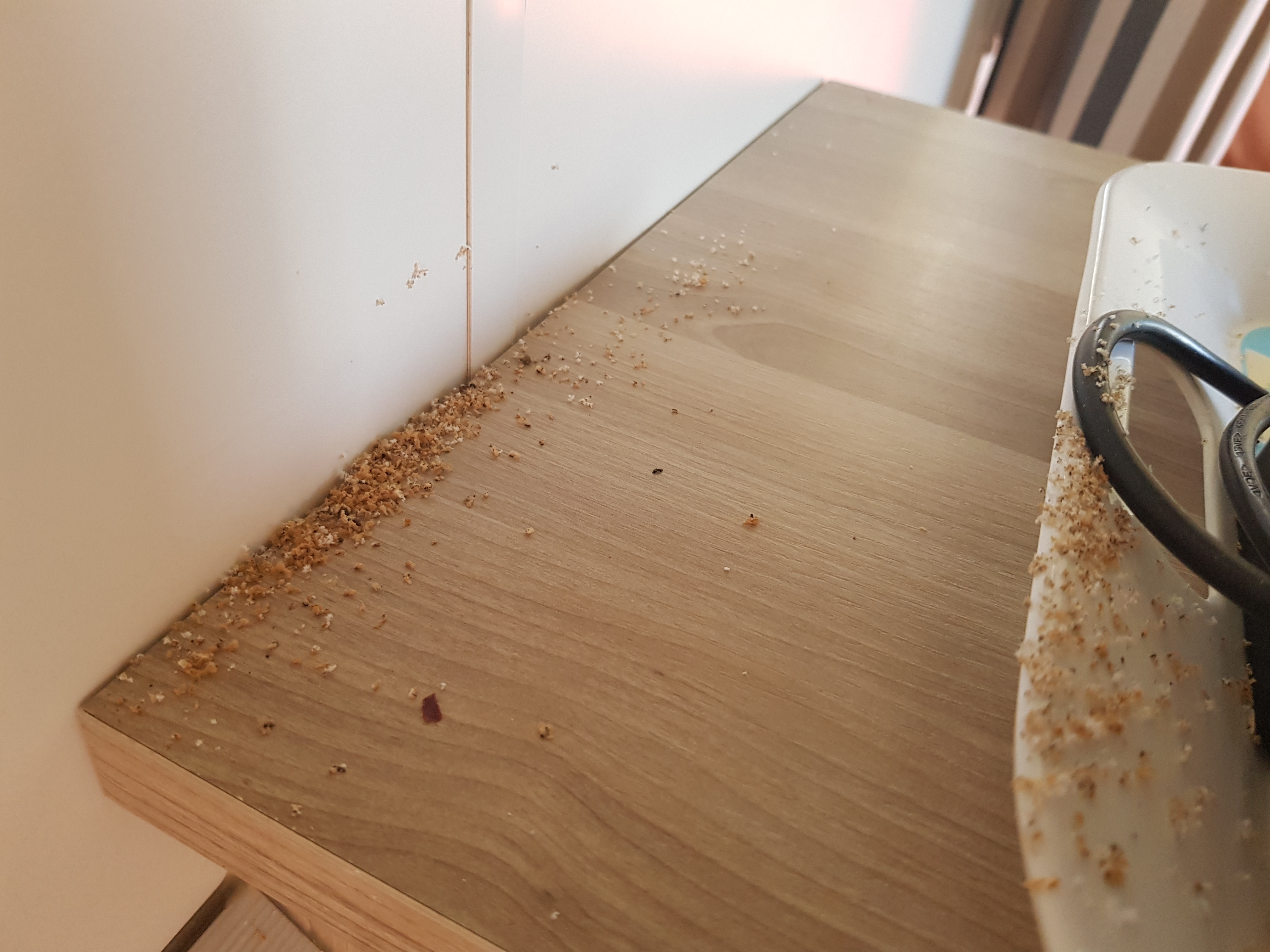 Photo n° 1 de l'avis de Abdellah.i fait le 13/07/2019 à 12:28