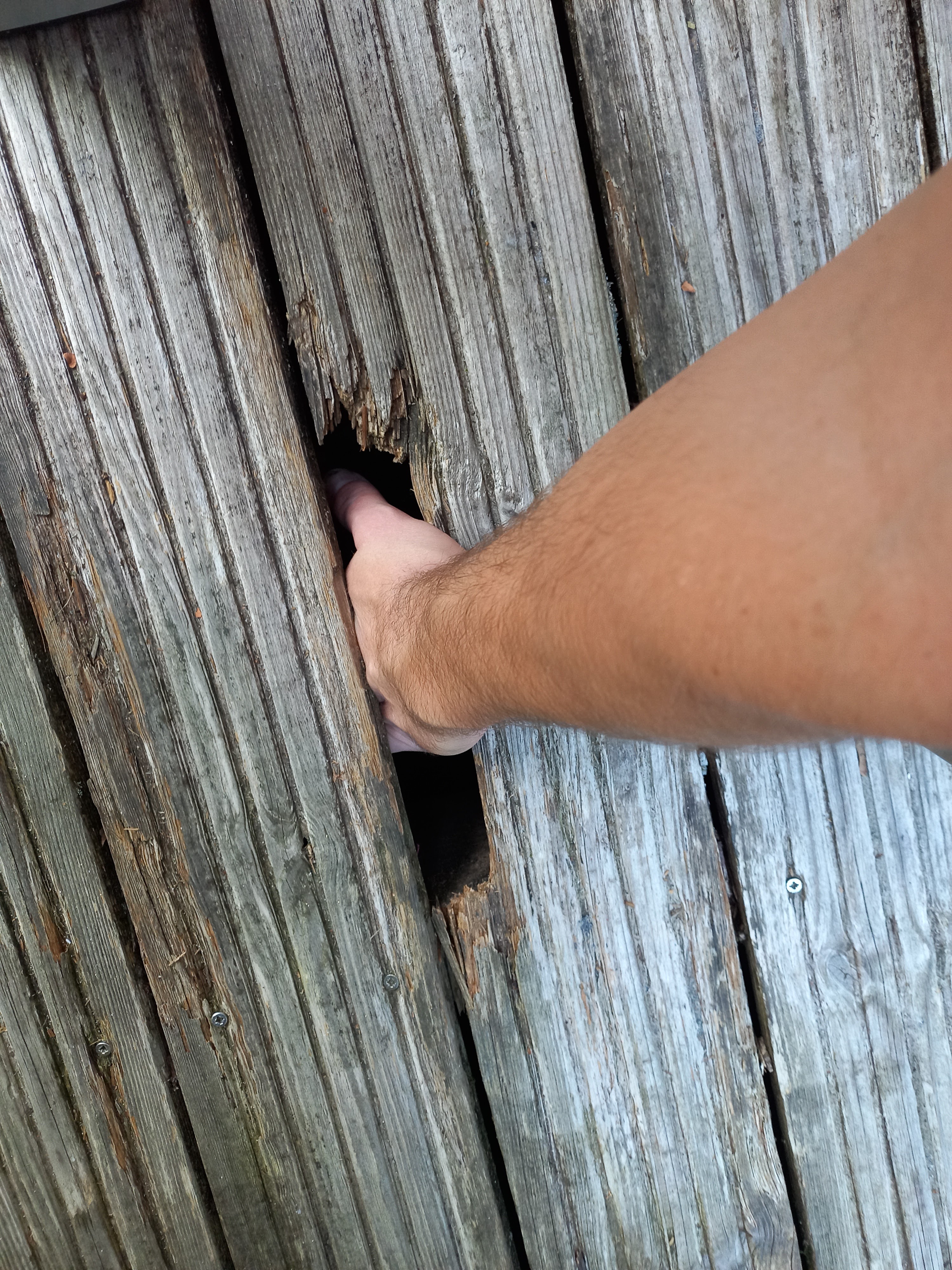 Photo n° 2 de l'avis de jojofreestyle29. fait le 17/10/2023 à 09:15