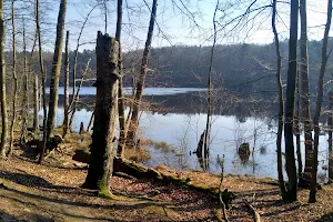 Jezioro Lubogoszcz image