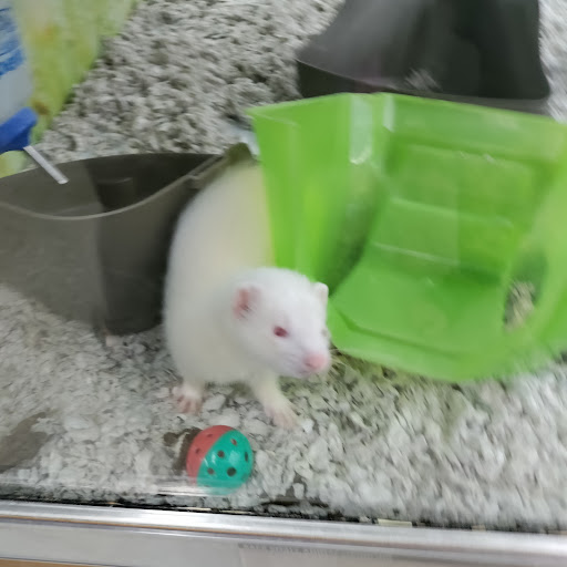 Pet Supply Store «Petco Animal Supplies», reviews and photos, 7400 Rivers Ave z, North Charleston, SC 29406, USA