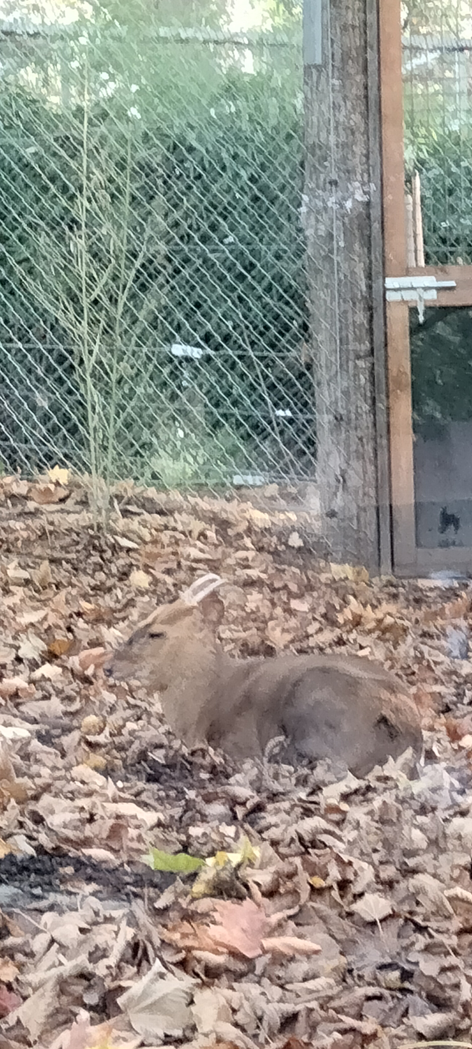 Photo n° 11 de l'avis de Sylvie.U fait le 07/11/2022 à 08:33