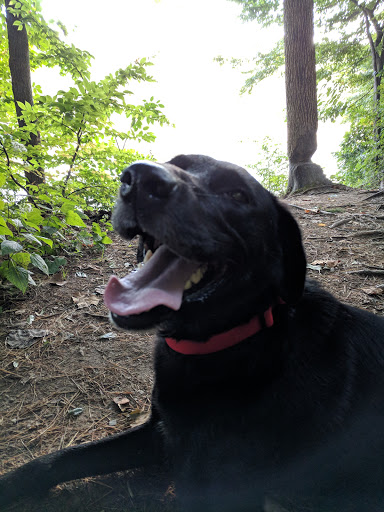 Park «Sodalis Nature Park», reviews and photos, 7700 S County Rd 975 E, Plainfield, IN 46168, USA