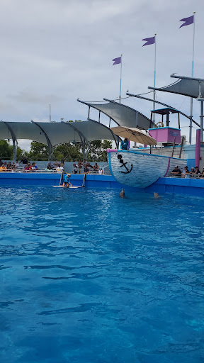 Tour Agency «Miami Swim With Dolphin Tours», reviews and photos, 247 SW 8th St, Miami, FL 33130, USA