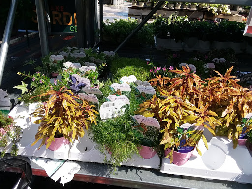 Hardware Store «Westlake Ace Hardware 080», reviews and photos, 708 S Aspen Ave, Broken Arrow, OK 74012, USA