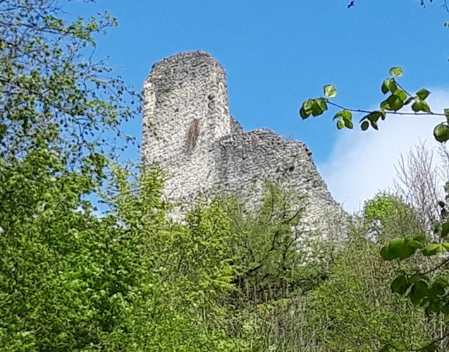 Ruine der Vorbourg