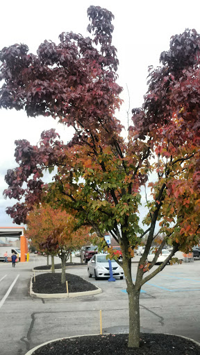 Home Improvement Store «The Home Depot», reviews and photos, 1889 Deerfield Rd, Lebanon, OH 45036, USA