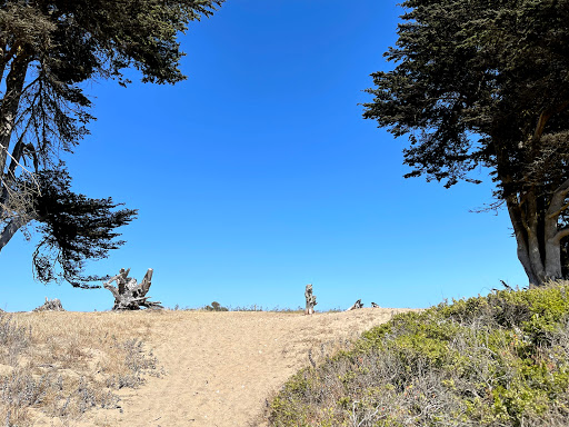 Public Beach «Four Mile Beach», reviews and photos, 3810 Coast Rd, Santa Cruz, CA 95060, USA