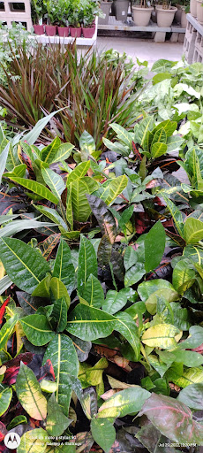 Home Improvement Store «The Home Depot», reviews and photos, 845 W Shaw Ave, Clovis, CA 93612, USA