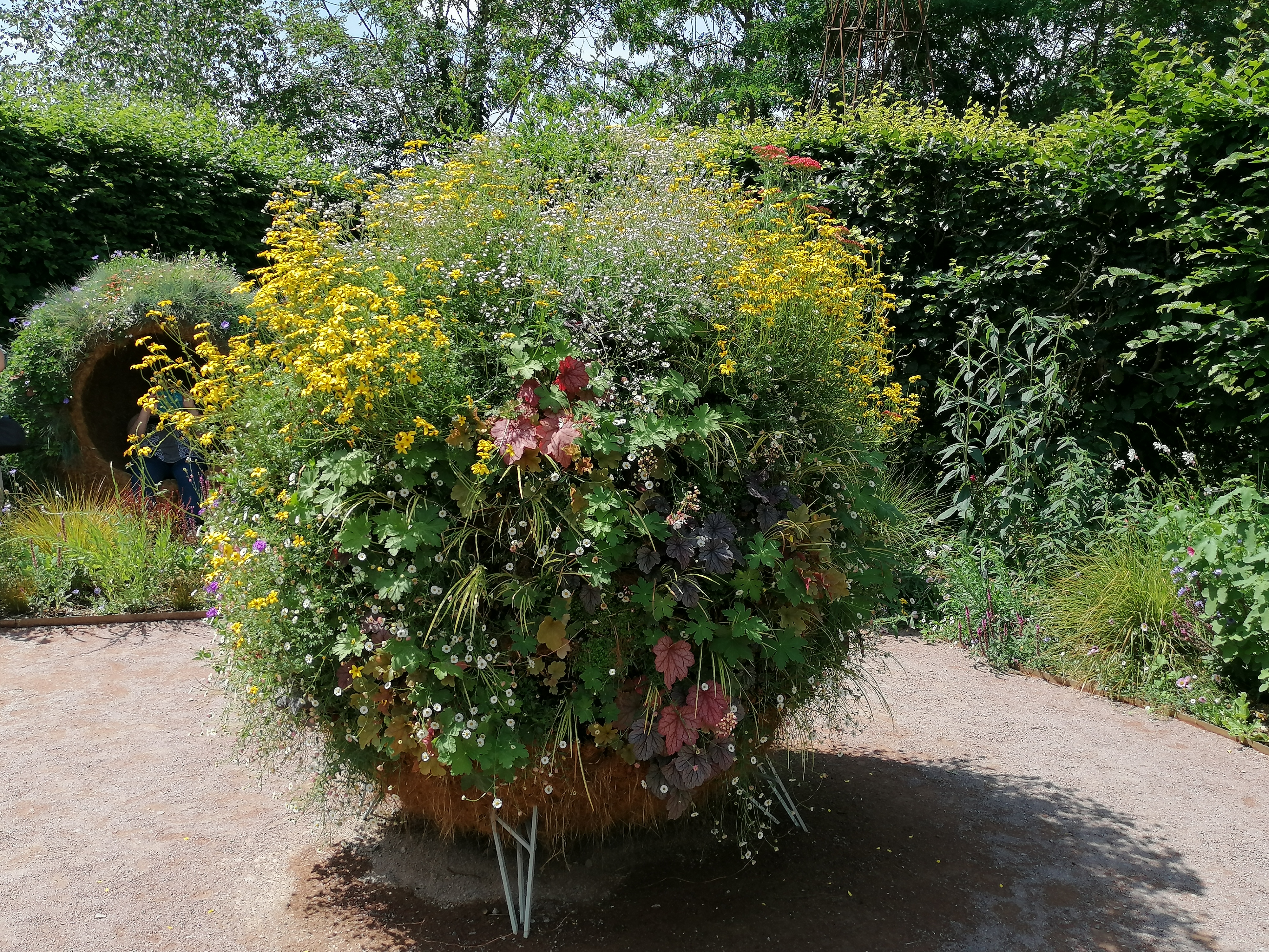 Photo n° 13 de l'avis de Muriel. fait le 18/06/2023 à 16:11