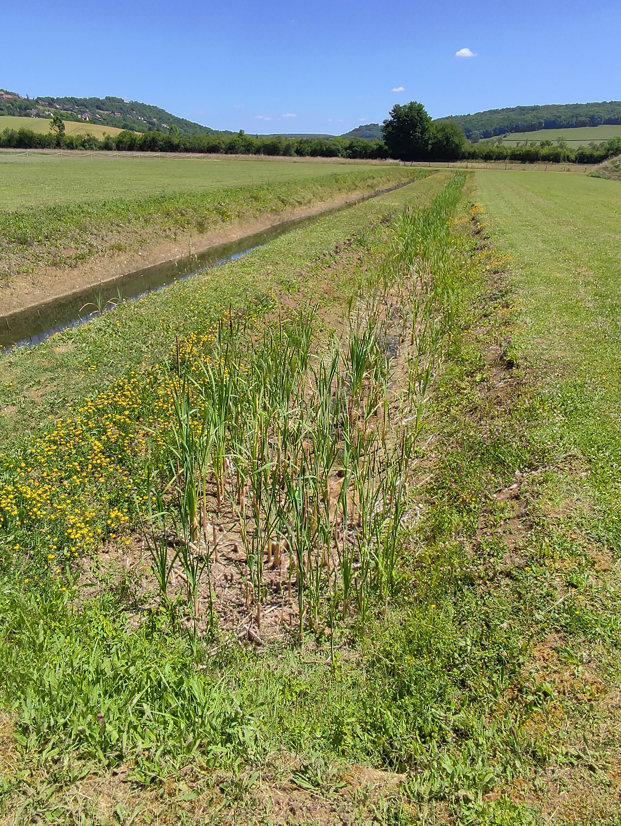 Photo n° 7 de l'avis de Yannick.N fait le 11/06/2022 à 20:18