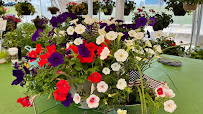 Flower Tent - Photo 4 - Car repair in Omaha, NE, Omaha