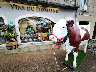 BADOZ Vins & Fromages à Poligny