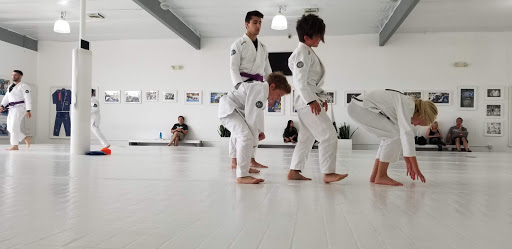 Art of Jiu Jitsu Academy image