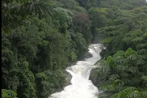 Cross River National Park image