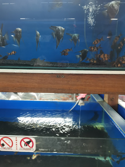 Taipan Aquarium