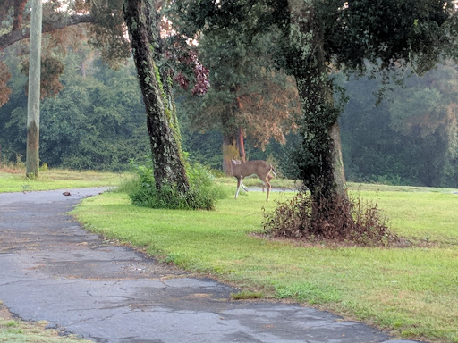 Public Golf Course «Eglin Golf Course», reviews and photos, 1527 Fairway Dr, Niceville, FL 32578, USA
